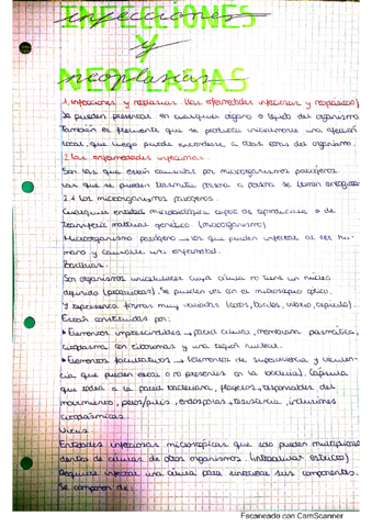 INFECCIONES-Y-NEOPLASIAS.pdf