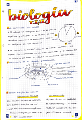 BIOLOGIA.pdf