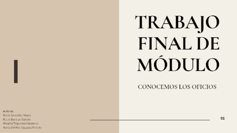 TRABAJO-FIN-DE-MODULO.pdf