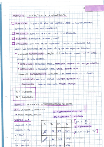 Temas-ESTADISTICA.pdf