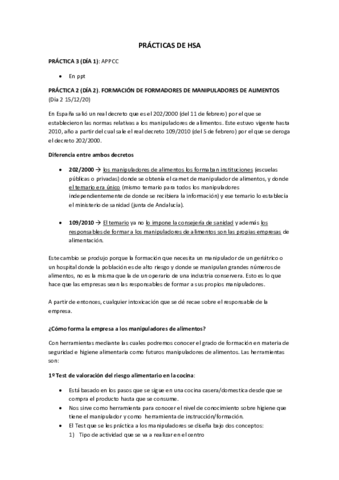 Practicas-HSA.pdf