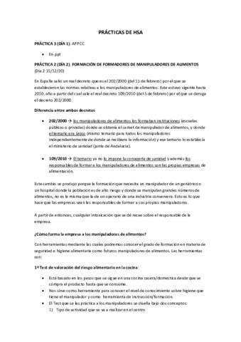 Practicas-HSA.pdf