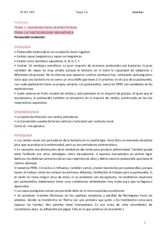 TEMA-1.pdf