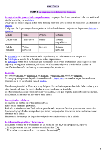 RESUMEN-AAO-Anatomofisiologia-y-patologias-basicas.pdf