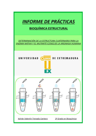 Informe-Bioquimica-estructural.pdf