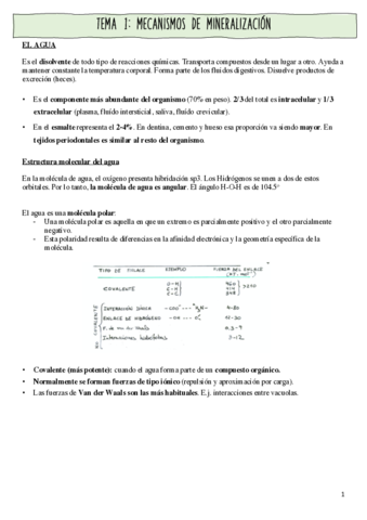 tema-1-boq.pdf