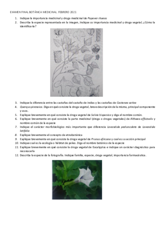 EXAMEN-FINAL-BOTANICA-MEDICINAL.pdf