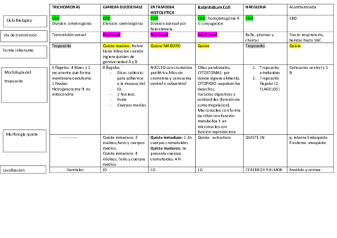 tabla-protozoos.pdf