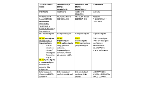 TABLA-PROTOZOOS-2.pdf