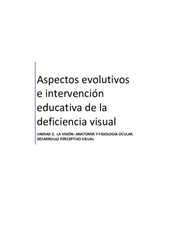 DISCAPACIDAD-VISUAL-TEMA-2.pdf