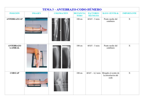 TEMA-3-ANTEBRAZO-CODO-HUMERO.pdf