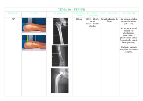 TEMA-10-FEMUR.pdf