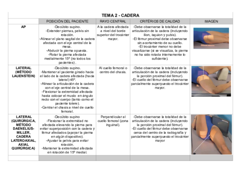 TEMA-2-CADERA.pdf