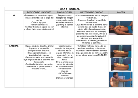 TEMA-4-DORSAL.pdf