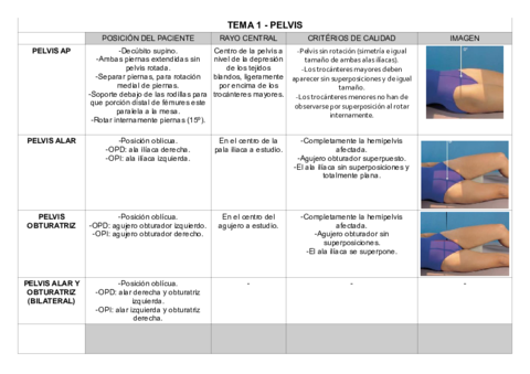 TEMA-1-PELVIS.pdf