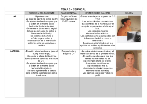 TEMA-3-CERVICAL.pdf