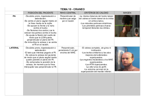 TEMA-10-CRANEO.pdf