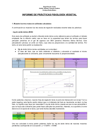Informe de Prácticas definitivo