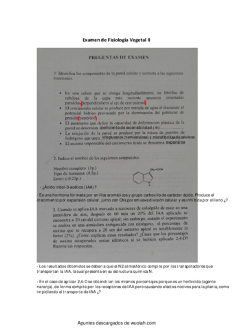 FV-II-examen.pdf