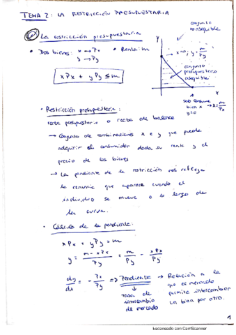 Tema-2.pdf