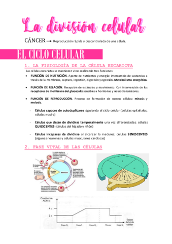 LADIVISIONCELULAR.pdf