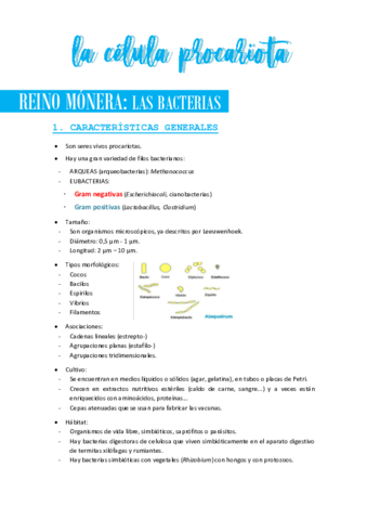 LACELULAPROCARIOTA.pdf