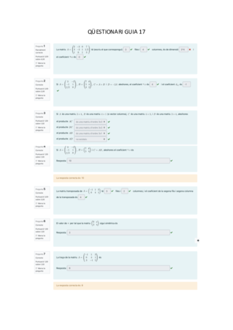 QUESTIONARI-GUIA-17.pdf