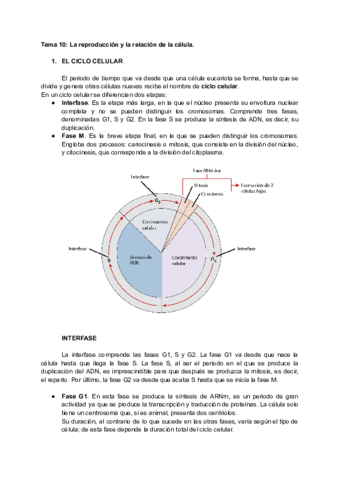 Tema10MitosisYMeiosis.pdf