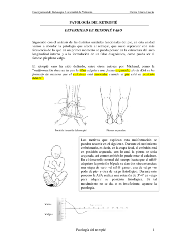 Patología del retropié.pdf