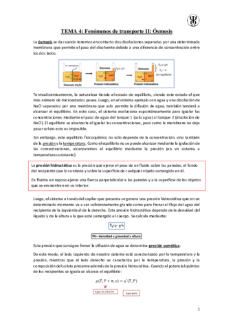 T4Fenomenos-de-transporte-II.pdf