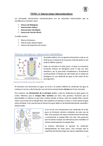 T2Interacciones-intermoleculares.pdf