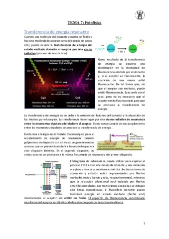 T7Fotofisica.pdf