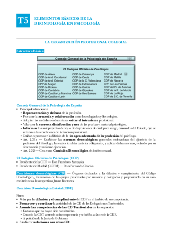 DYE-T5-La-Deontologia-de-la-Psicologia-en-Espana.pdf