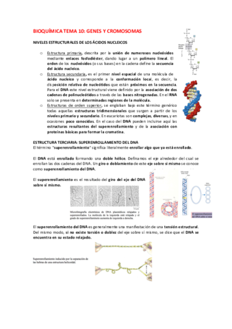 BIOQUIMICA-TEMA-10-REAL.pdf