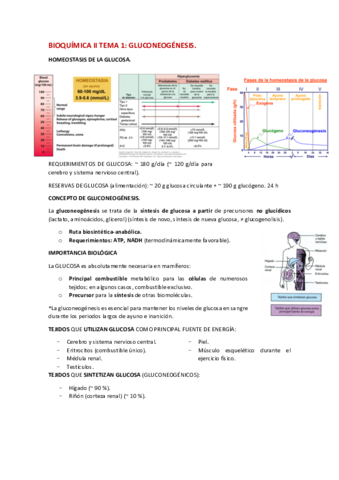 TEMA-1-BQ-II.pdf