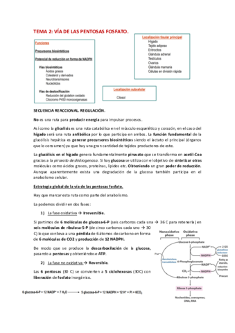 TEMA-2-BQII.pdf