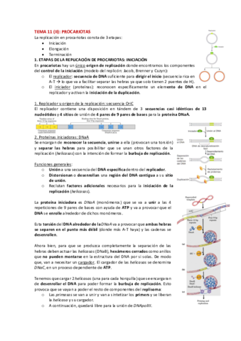 TEMA-11-bq.pdf