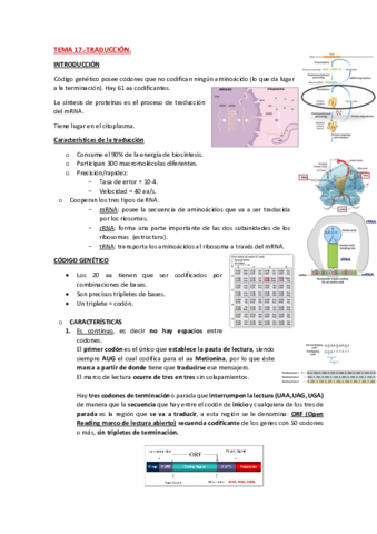 TEMA-17-BQ-II-BIOLOGIA-MOLECULAR-PDF.pdf