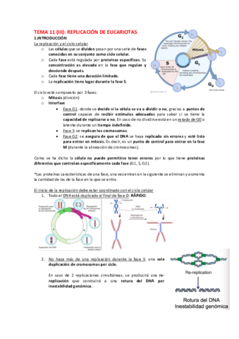 BIOQUIMICA-11-3.pdf