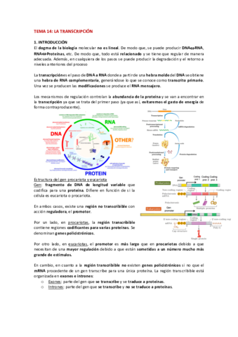 TEMA-14.pdf