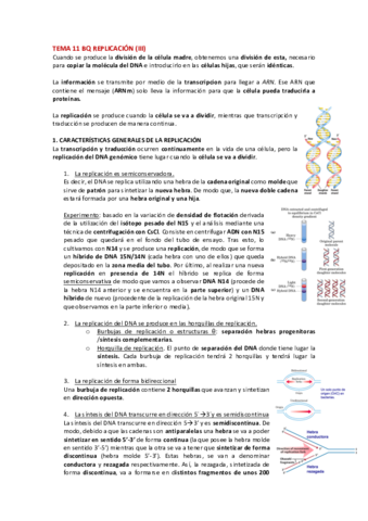 TEMA-11-BQ-REPLICACION-REAL-1.pdf