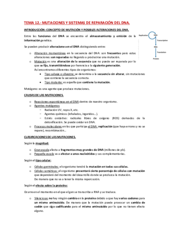 TEMA-12-BIOQUIMICA-II-PDF.pdf