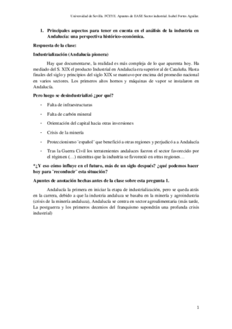 SECTOR-INDUSTRIAL.pdf