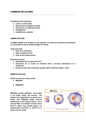 Cambios-celulares.pdf