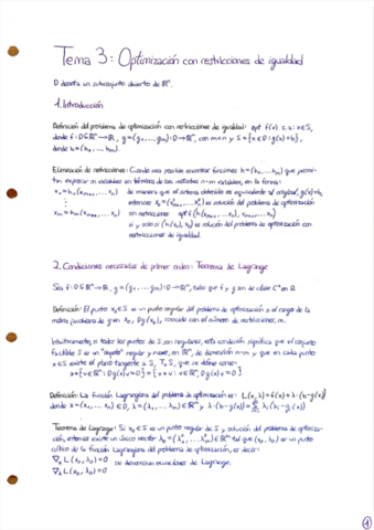 T3-Optimizacion.pdf