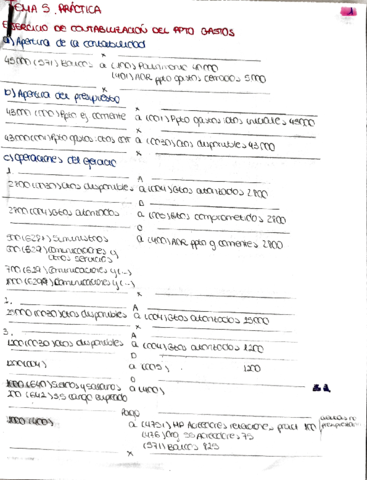 ejercicio-resuelto-ppto-gastos.pdf