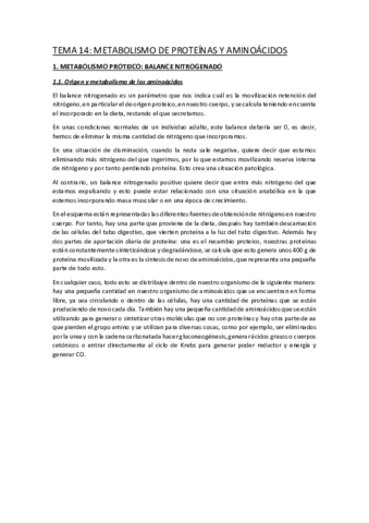 TEMA-14.pdf