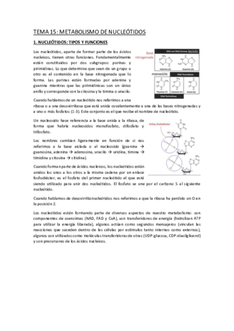 TEMA-15.pdf
