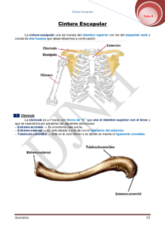 9.pdf