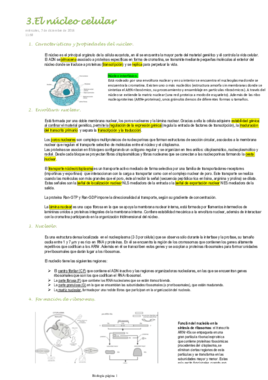 3.El núcleo celular.pdf